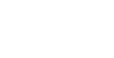 Evos Consulting Group